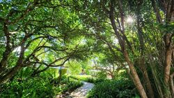 Holland Road (D10), Detached #497201531